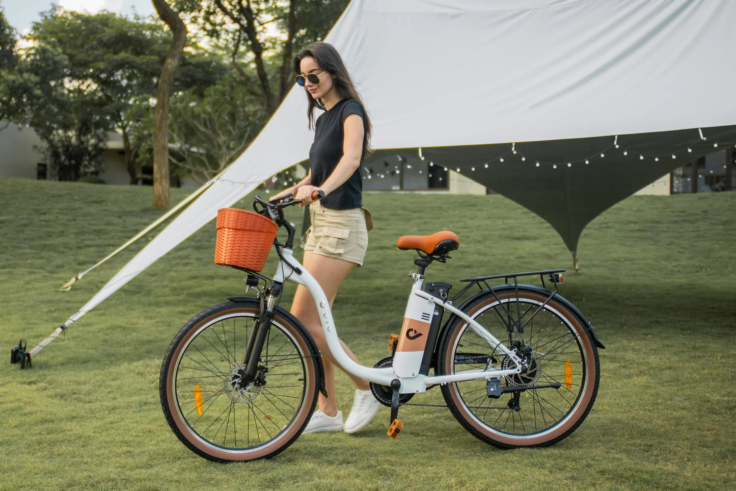 DYU C6 Pro City Electric Bike