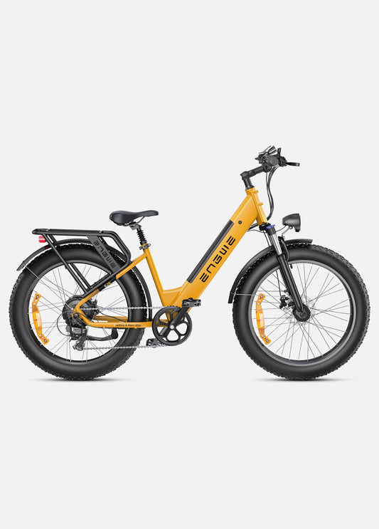 Fat-Tire Electric Bike