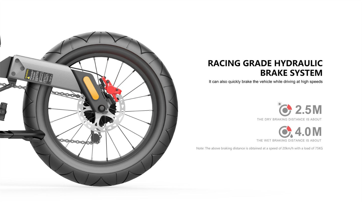 NEXXBIKE X5 PLUS Electric Bike