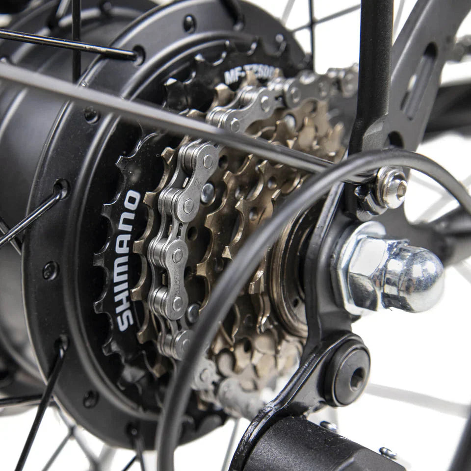 DYU C6 City Electric Bike