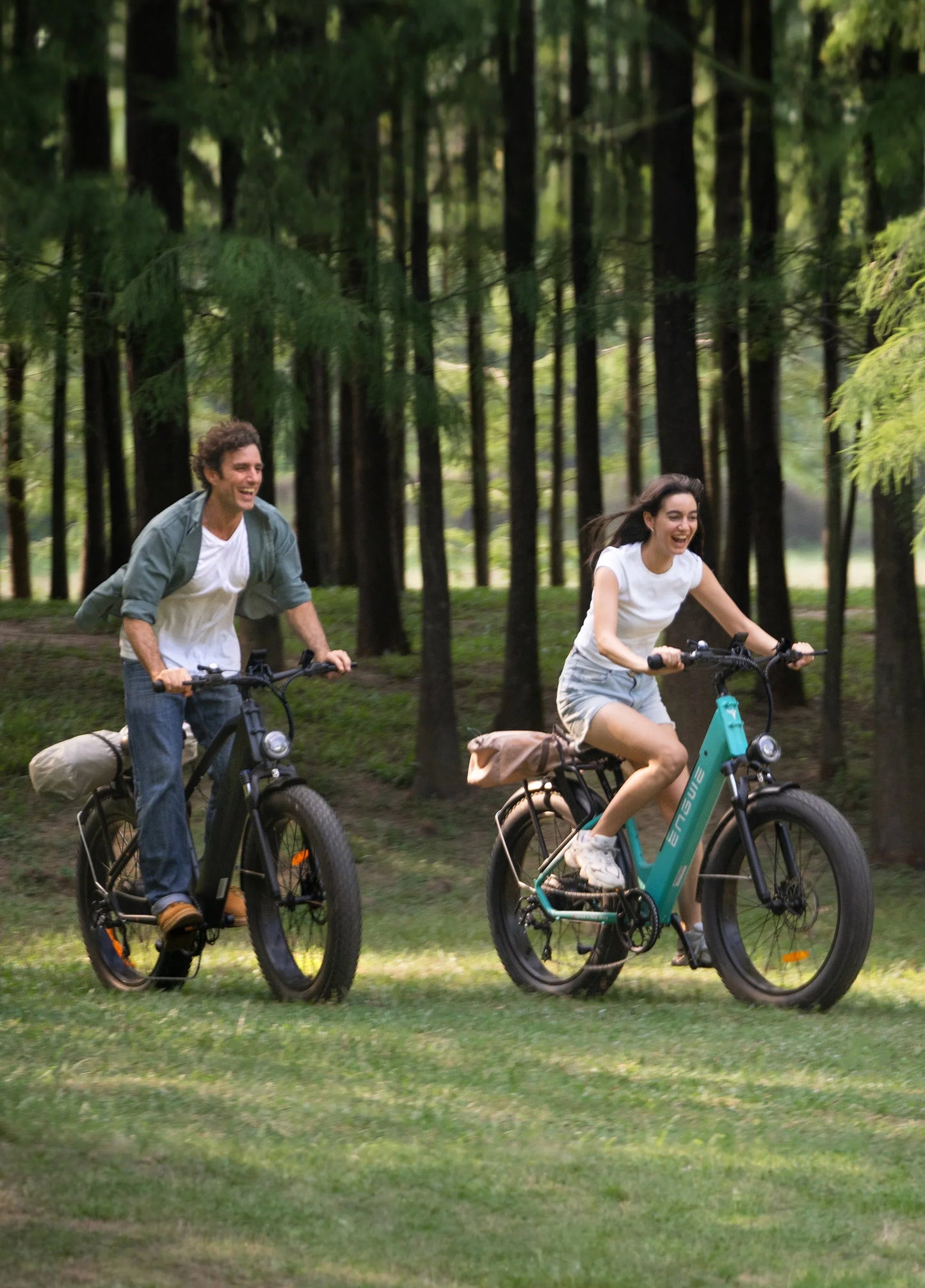 Fat-Tire Electric Bike