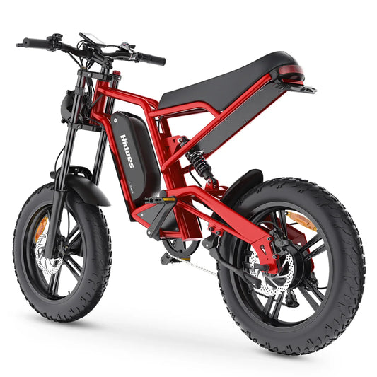 Hidoes B6 Electric Fat Tire Bike