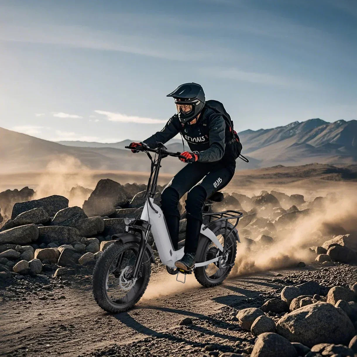 Hidoes BF1 Folding E‑Bike