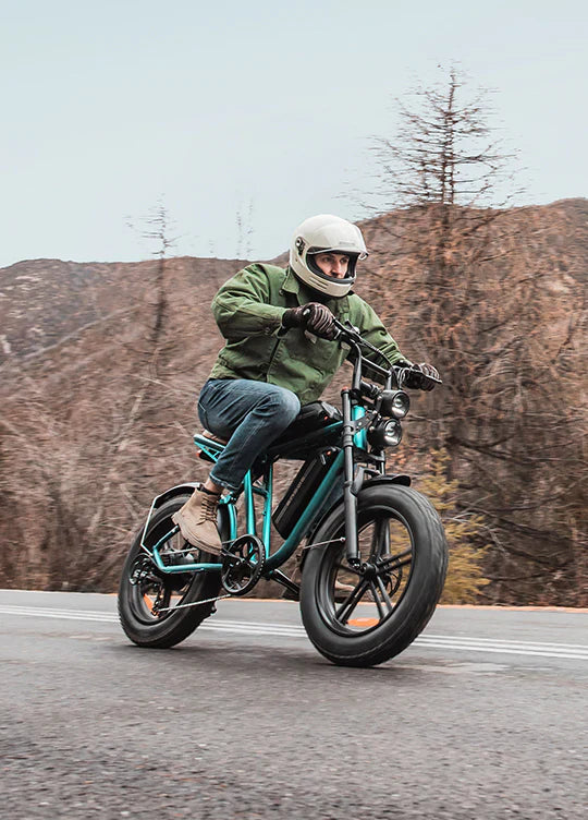 Engwe M20 Moped-Style Fat Tire Electric Bike