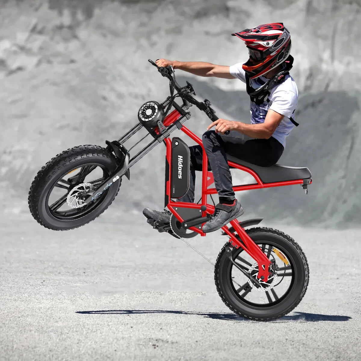 Hidoes B6 Electric Bike – 250W Motor | 48V 15.6Ah Battery | 20″×4″ Fat Tires | Hydraulic Disc Brakes | Retro Moped Style