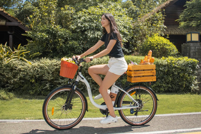 DYU C6 Pro City Electric Bike 