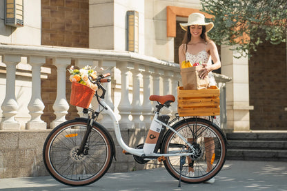 DYU C6 Pro City Electric Bike 