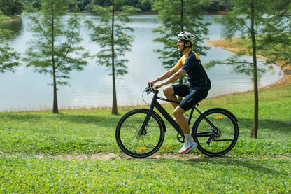 DYU Stroll 1 City Electric Bike