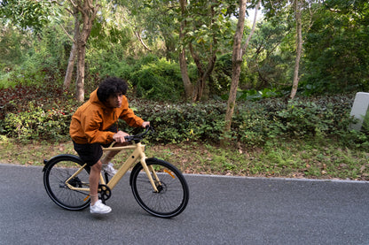 PIXAR S900 Electric Bike – 250W Motor | Samsung 36V 10Ah Battery | 700×40C Wheels | Hydraulic Brakes | Up to 100km Range | Torque Sensor City E-Bike