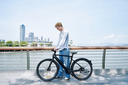 PIXAR S900 Electric Bike – 250W Motor | Samsung 36V 10Ah Battery | 700×40C Wheels | Hydraulic Brakes | Up to 100km Range | Torque Sensor City E-Bike