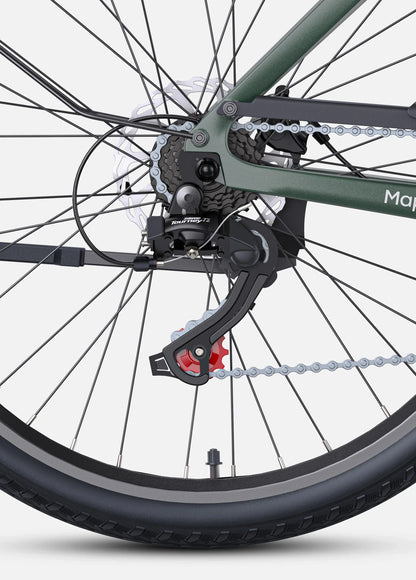 Carbon Frame