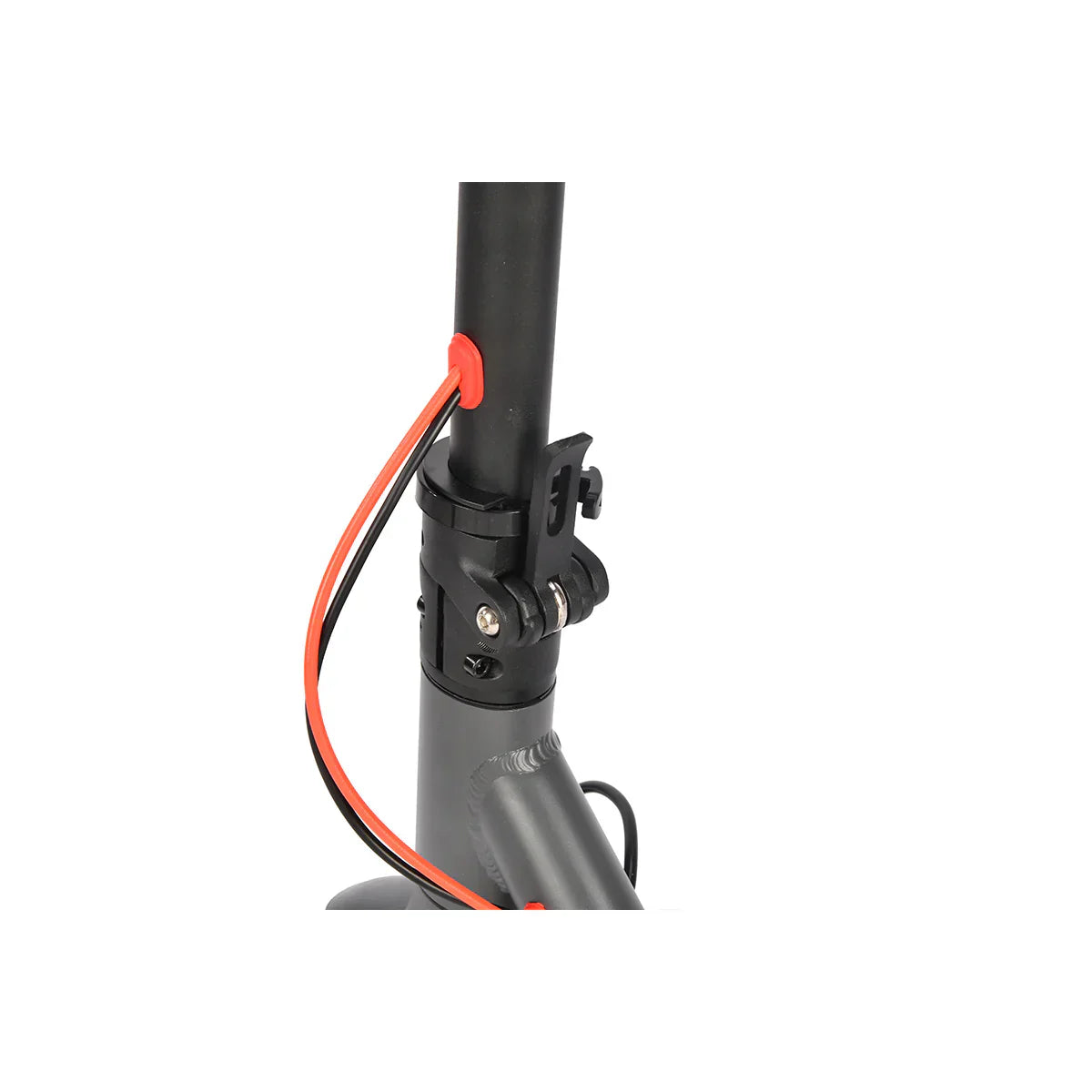  350W Motor