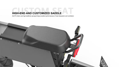 NEXXBIKE X5 PLUS Electric Bike 