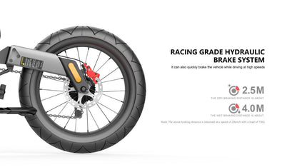 NEXXBIKE X5 PLUS Electric Bike 