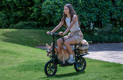 DYU C4 Folding Electric Bike – 250W Motor | 10Ah Battery