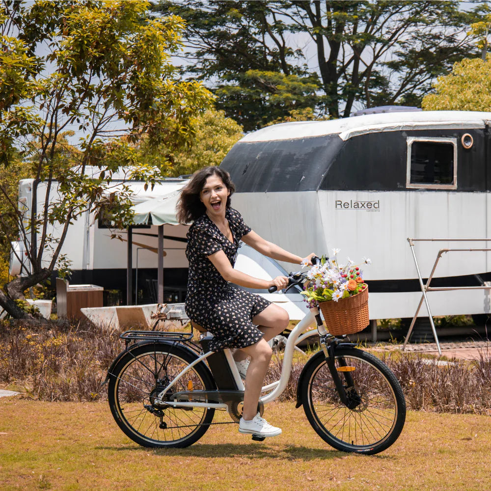 DYU C6 City Electric Bike