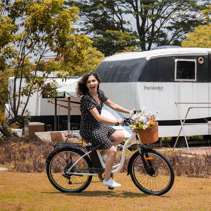 DYU C6 City Electric Bike
