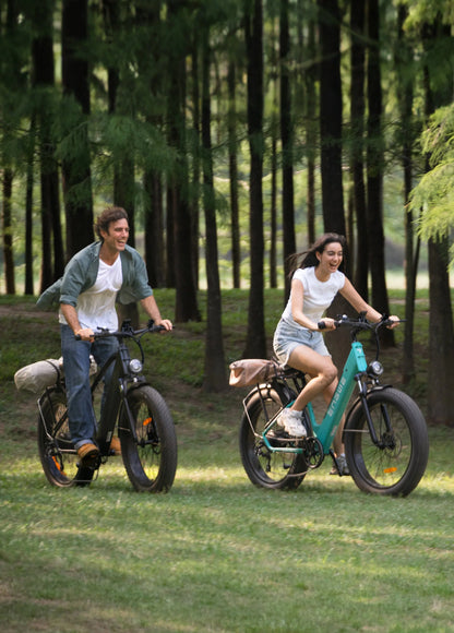 Fat-Tire Electric Bike