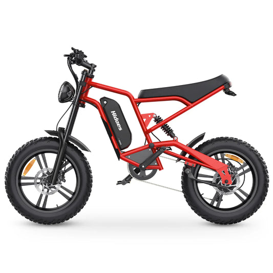 Hidoes B6 Electric Fat Tire Bike
