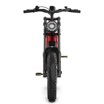 Hidoes B6 Electric Fat Tire Bike