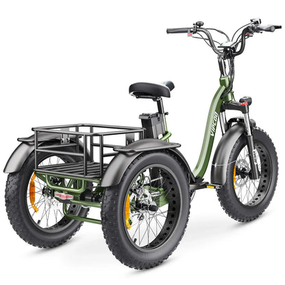 Hidoes VIPCOO ET1 Electric Fat