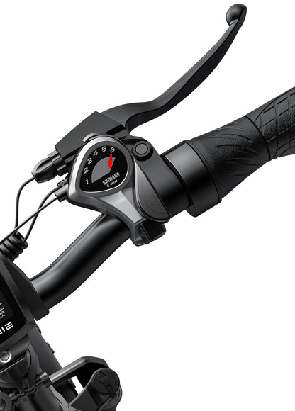 Engwe EP‑2 Pro Folding Fat Tire E‑Bike