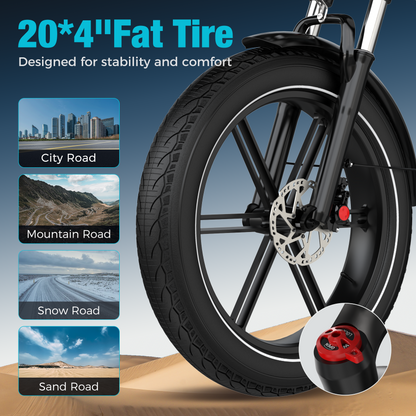 Hitway BK10SP PRO Folding Electric Bike
