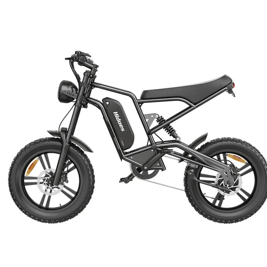 Hidoes B6 Electric Bike – 250W Motor | 48V 15.6Ah Battery | 20″×4″ Fat Tires | Hydraulic Disc Brakes | Retro Moped Style