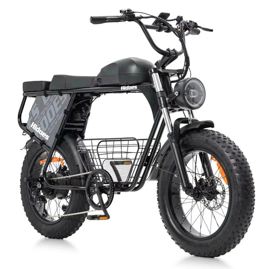 Hidoes B9 Electric Bike – 250W Motor | 48V 33.8Ah Dual Battery | 20″×4″ Fat Tires | Hydraulic Disc Brakes | 150 km Range