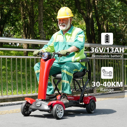 Hidoes P1 Foldable Quad Scooter – 250W Motor | 36V Battery | 14″ Tires | Lightweight Adult Electric Scooter