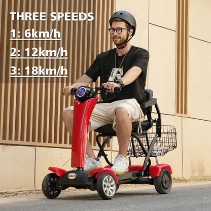 Hidoes P1 Foldable Quad Scooter – 250W Motor | 36V Battery | 14″ Tires | Lightweight Adult Electric Scooter