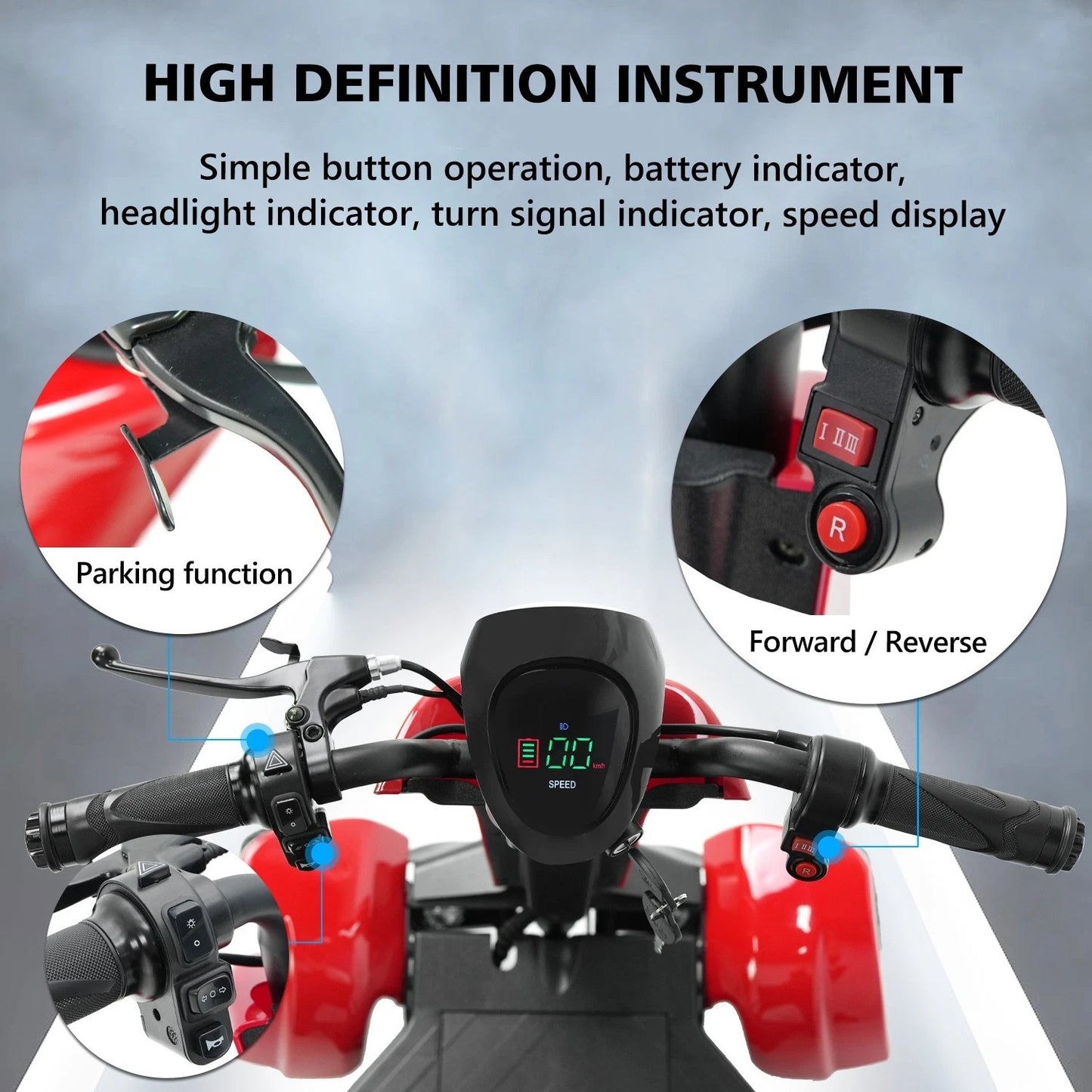 Hidoes P1 Foldable Quad Scooter – 250W Motor | 36V Battery | 14″ Tires | Lightweight Adult Electric Scooter